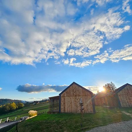Chata W Bieszczadzie Apartamenty I Domki Z Sauna Bieszczady Polanczyk Exterior photo