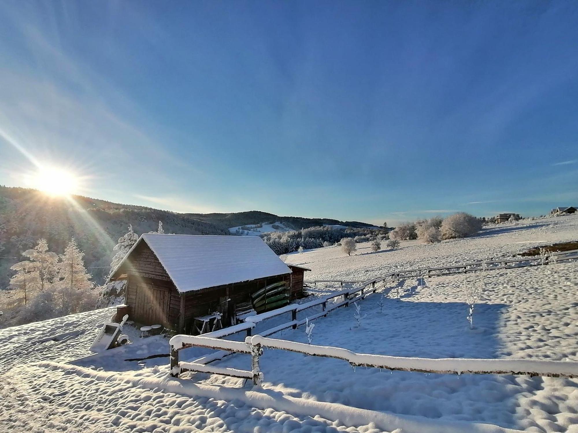 Chata W Bieszczadzie Apartamenty I Domki Z Sauna Bieszczady Polanczyk Exterior photo