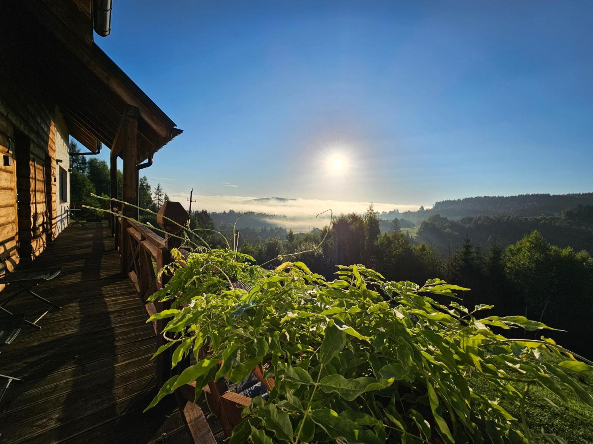 Chata W Bieszczadzie Apartamenty I Domki Z Sauna Bieszczady Polanczyk Exterior photo