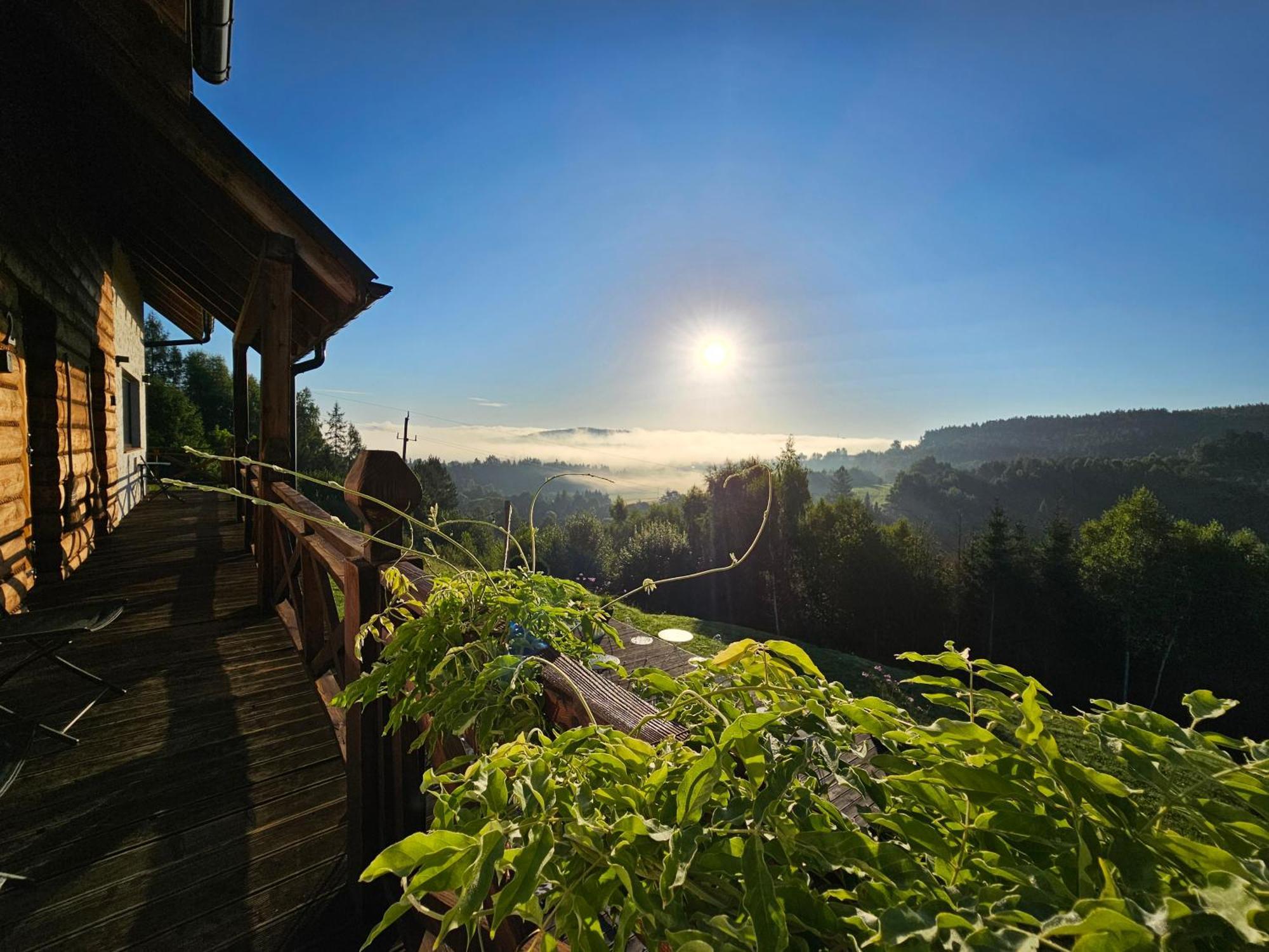 Chata W Bieszczadzie Apartamenty I Domki Z Sauna Bieszczady Polanczyk Exterior photo