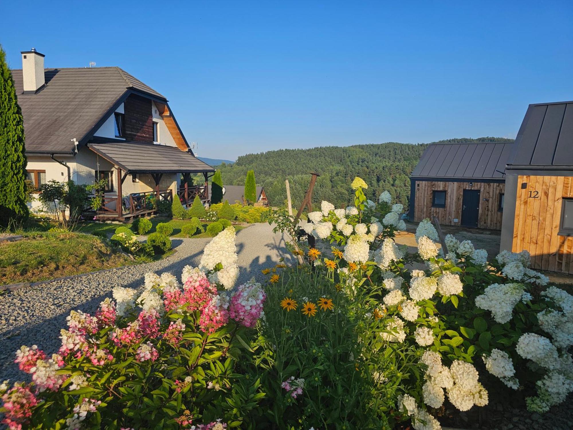 Chata W Bieszczadzie Apartamenty I Domki Z Sauna Bieszczady Polanczyk Exterior photo