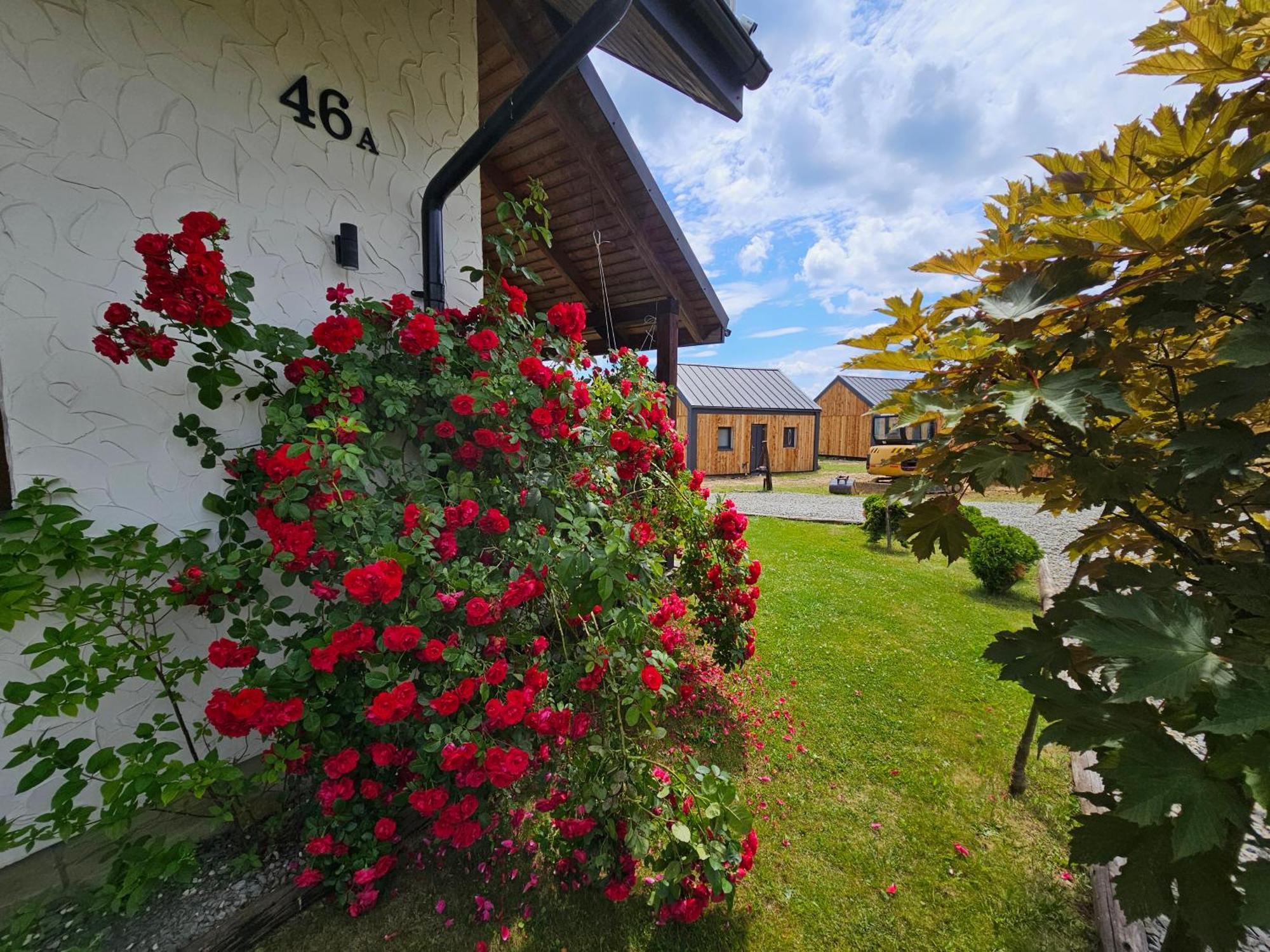 Chata W Bieszczadzie Apartamenty I Domki Z Sauna Bieszczady Polanczyk Exterior photo