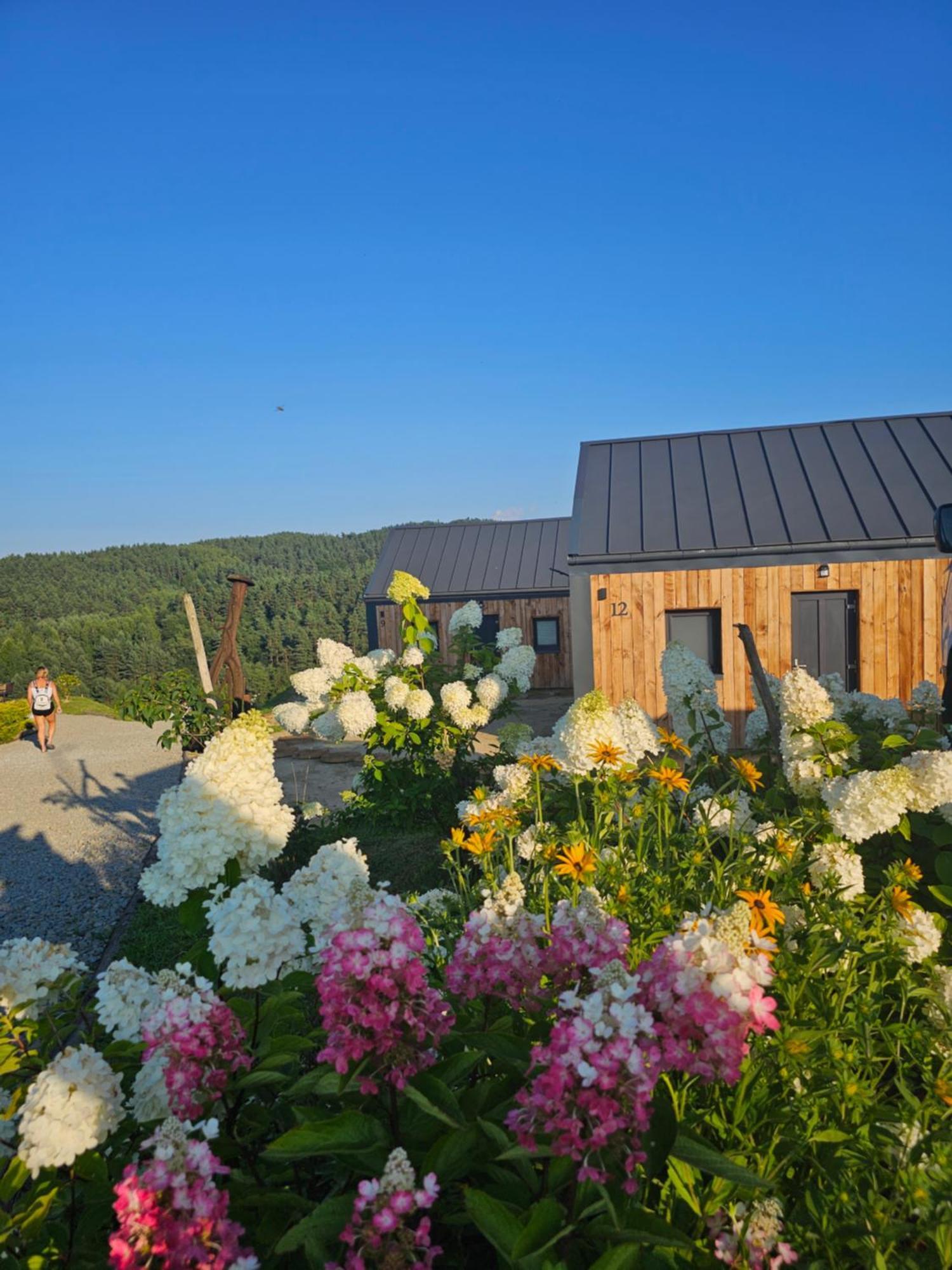 Chata W Bieszczadzie Apartamenty I Domki Z Sauna Bieszczady Polanczyk Exterior photo